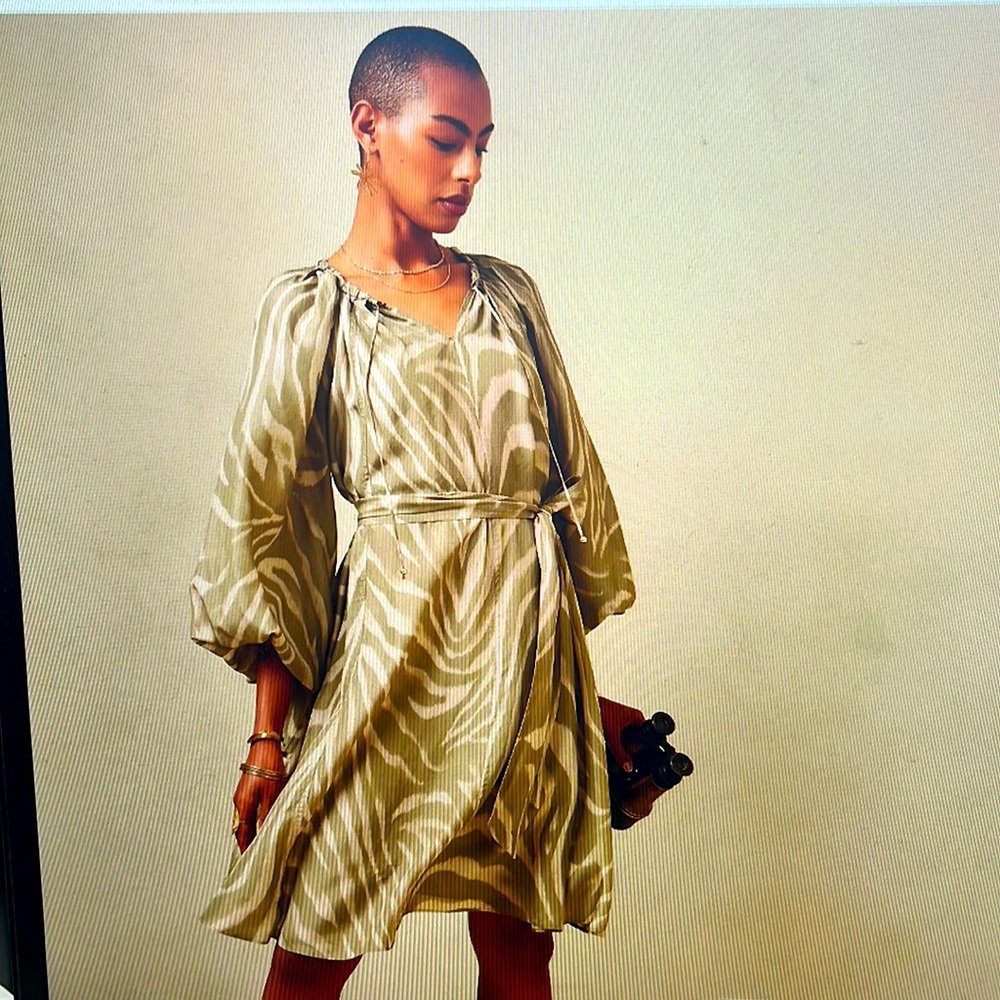 Banana Republic Reverie silk dress
